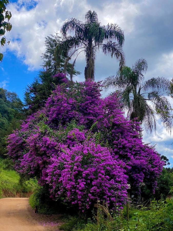 Canto Das Aguas Alagoa Dış mekan fotoğraf
